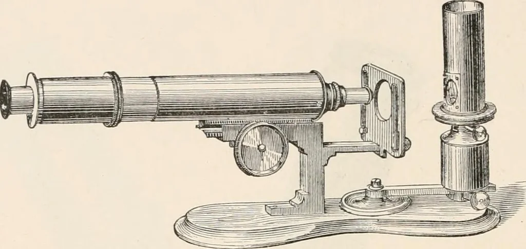 An illustration from The microscope : an introduction to microscopic methods and to histology, 1911, leaf 99