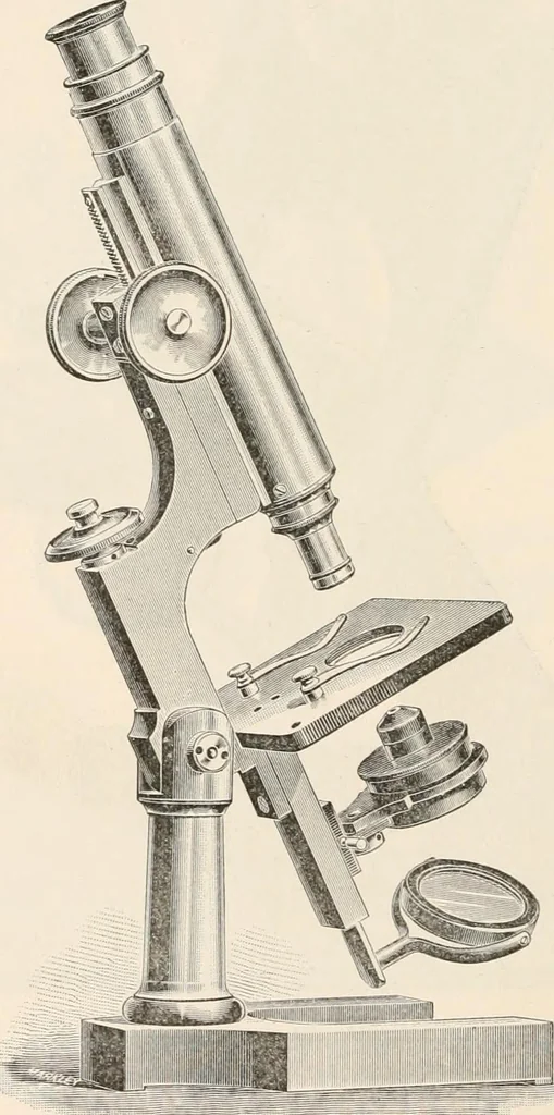 An illustration from The microscope : an introduction to microscopic methods and to histology, 1911, leaf 99