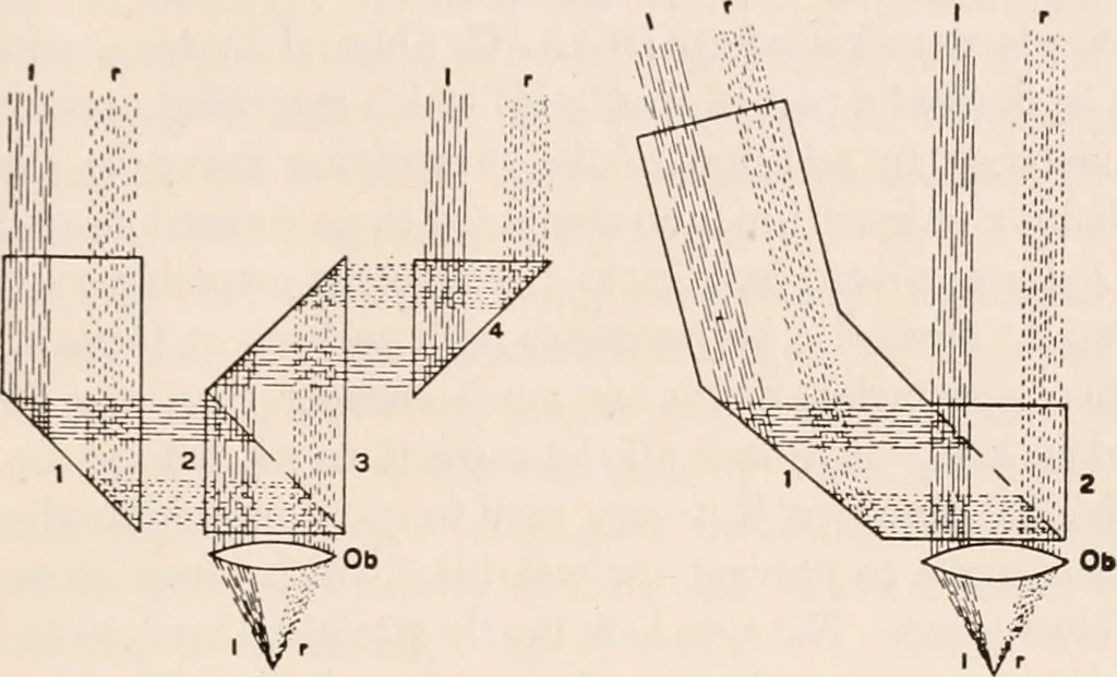 An illustration from The microscope; an introduction to microscopic methods and to histology, 1917, leaf 100
