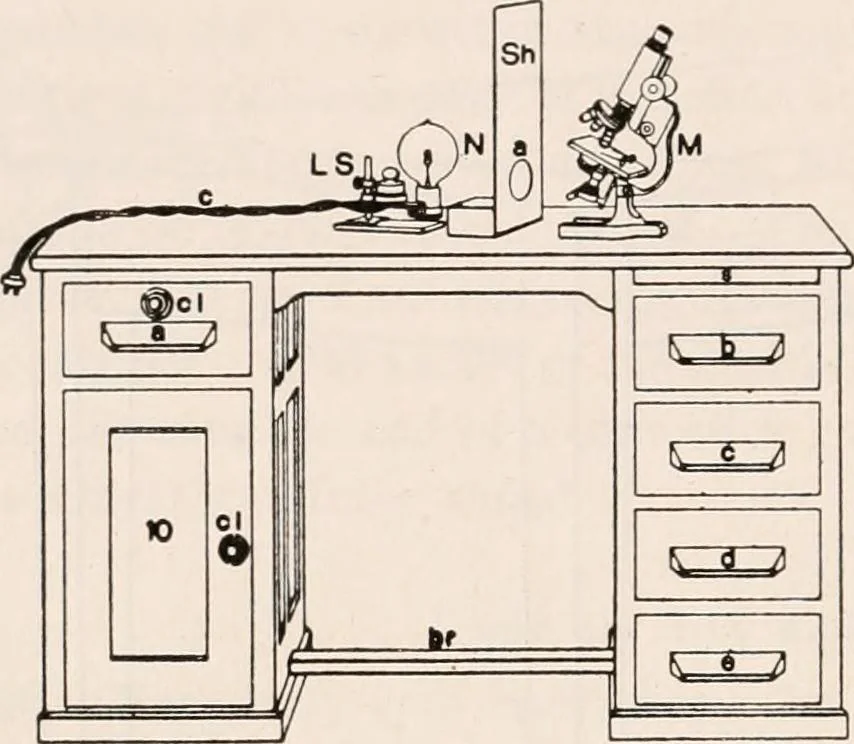 An illustration from The microscope; an introduction to microscopic methods and to histology, 1917, leaf 109