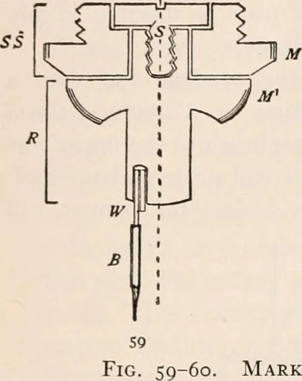 An illustration from The microscope; an introduction to microscopic methods and to histology, 1917, leaf 114