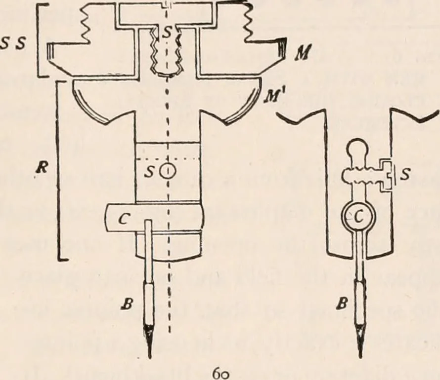 An illustration from The microscope; an introduction to microscopic methods and to histology, 1917, leaf 114