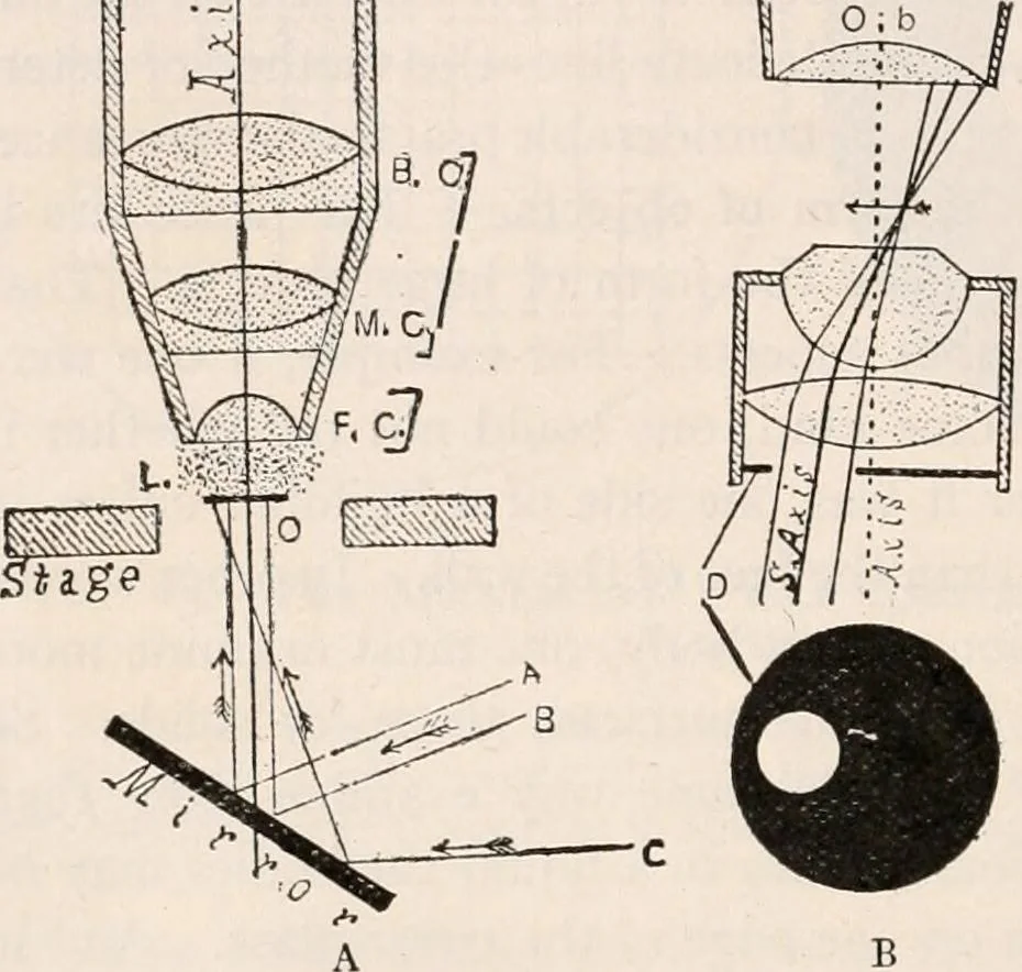 An illustration from The microscope; an introduction to microscopic methods and to histology, 1917, leaf 125