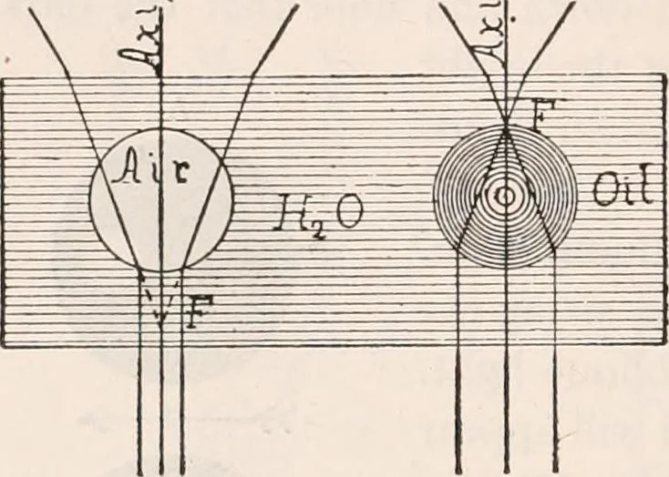 An illustration from The microscope; an introduction to microscopic methods and to histology, 1917, leaf 127