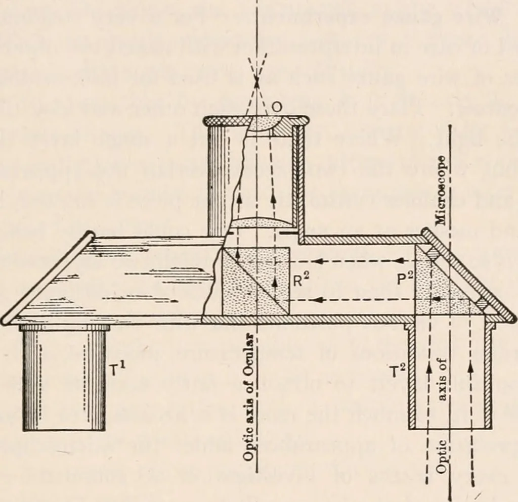 An illustration from The microscope; an introduction to microscopic methods and to histology, 1917, leaf 136