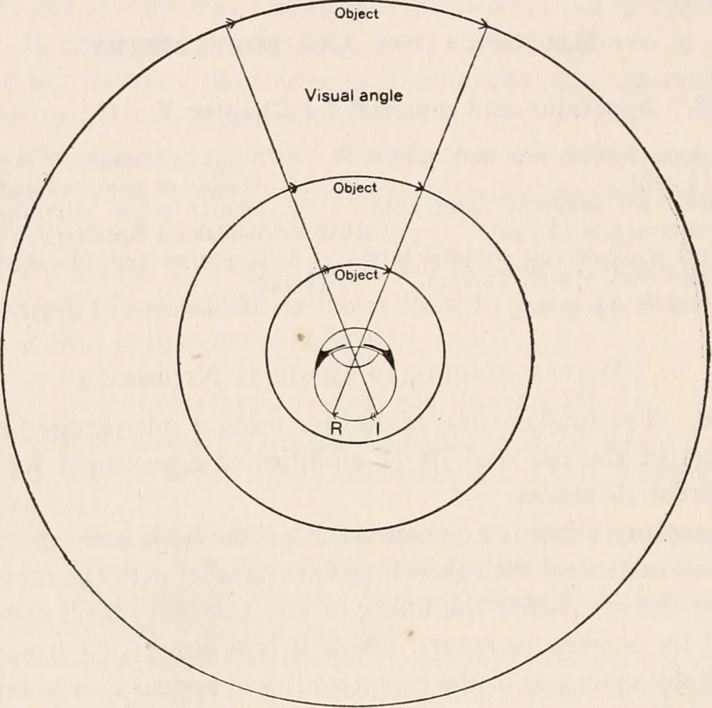 An illustration from The microscope; an introduction to microscopic methods and to histology, 1917, leaf 141