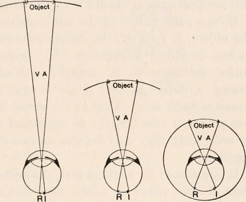 An illustration from The microscope; an introduction to microscopic methods and to histology, 1917, leaf 142