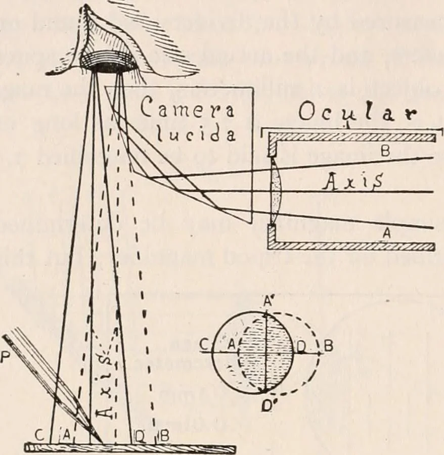 An illustration from The microscope; an introduction to microscopic methods and to histology, 1917, leaf 149