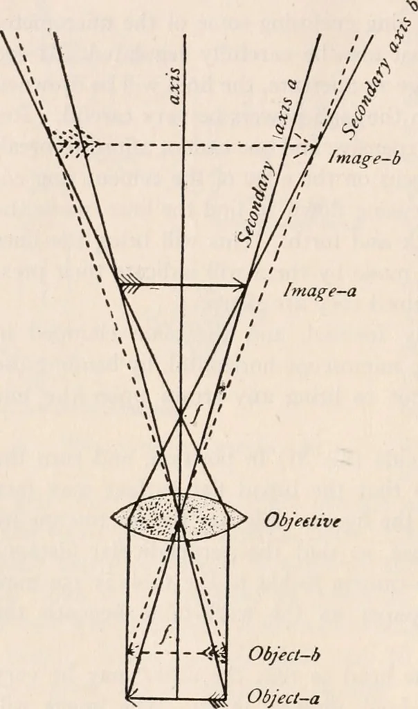 An illustration from The microscope; an introduction to microscopic methods and to histology, 1917, leaf 151