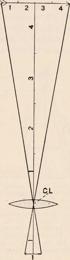 An illustration from The microscope; an introduction to microscopic methods and to histology, 1917, leaf 152