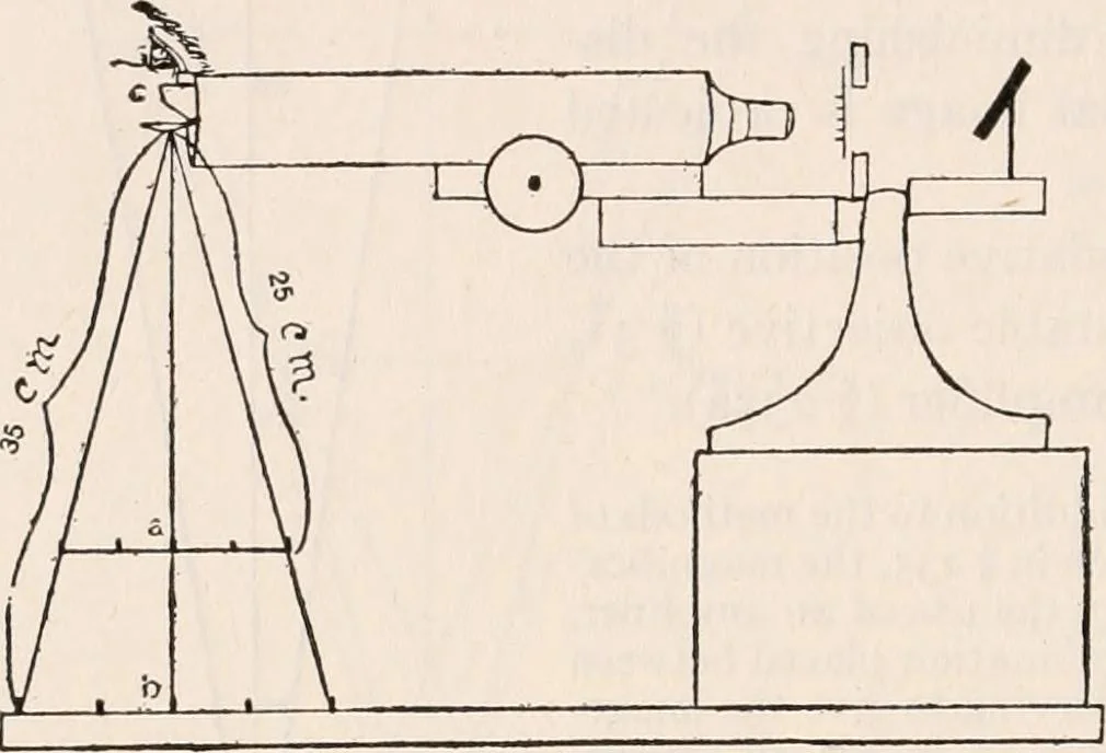 An illustration from The microscope; an introduction to microscopic methods and to histology, 1917, leaf 153