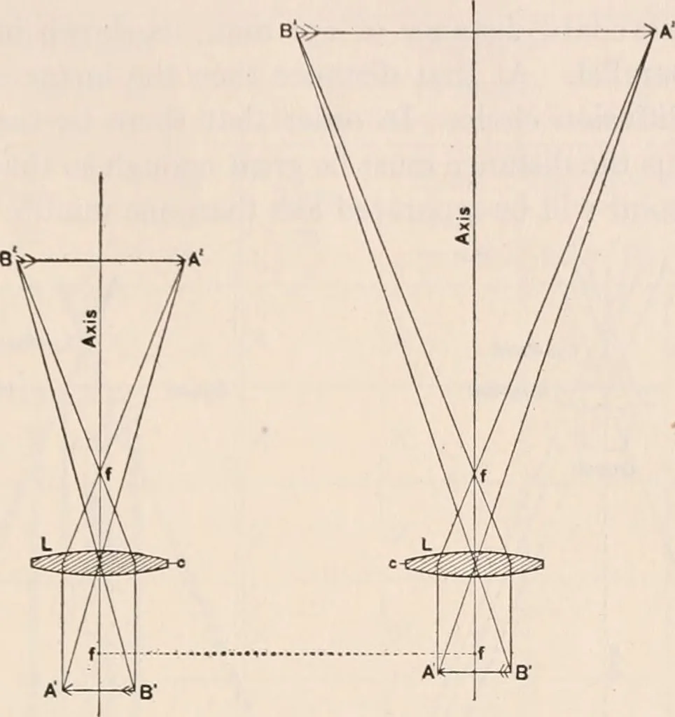 An illustration from The microscope; an introduction to microscopic methods and to histology, 1917, leaf 154