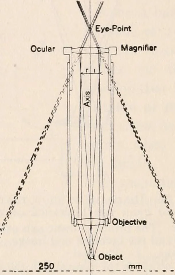 An illustration from The microscope; an introduction to microscopic methods and to histology, 1917, leaf 155