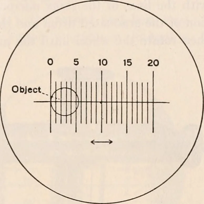 An illustration from The microscope; an introduction to microscopic methods and to histology, 1917, leaf 160