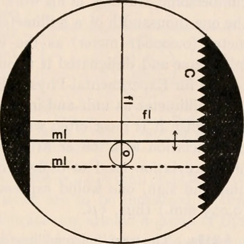 An illustration from The microscope; an introduction to microscopic methods and to histology, 1917, leaf 162