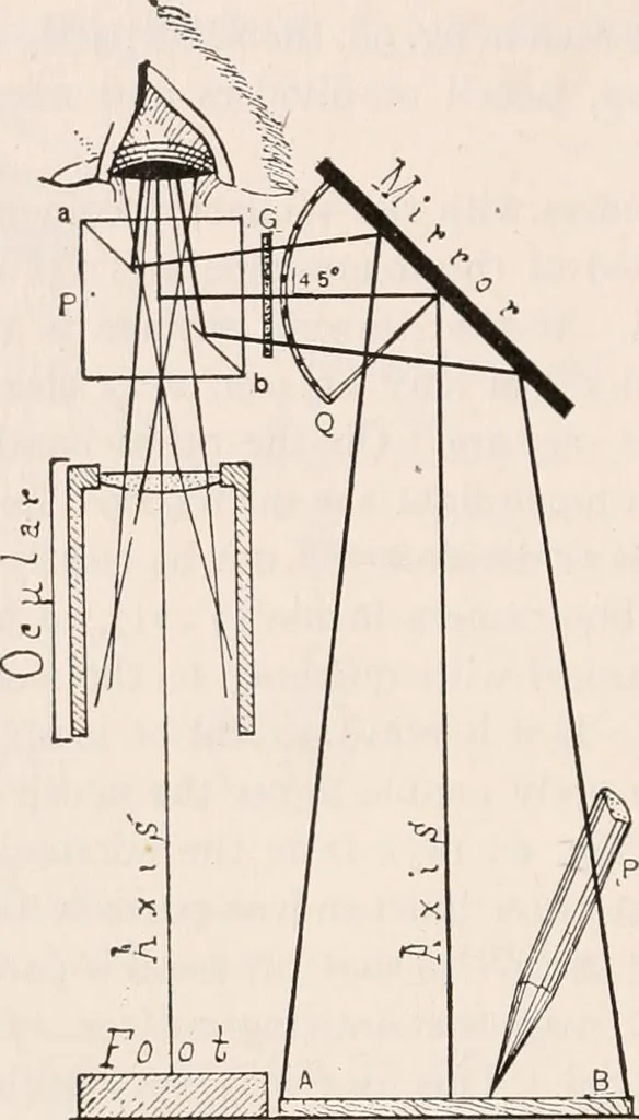 An illustration from The microscope; an introduction to microscopic methods and to histology, 1917, leaf 177