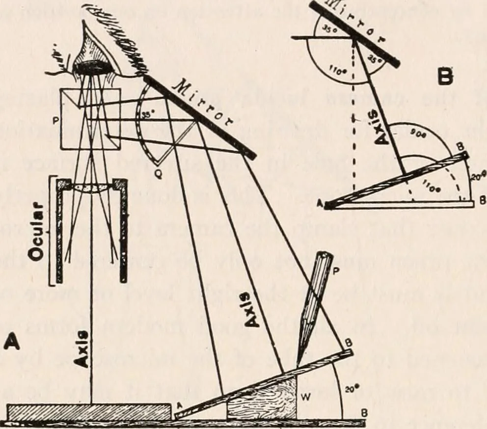 An illustration from The microscope; an introduction to microscopic methods and to histology, 1917, leaf 179