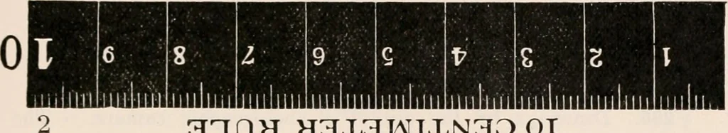 An illustration from The microscope; an introduction to microscopic methods and to histology, 1917, leaf 188