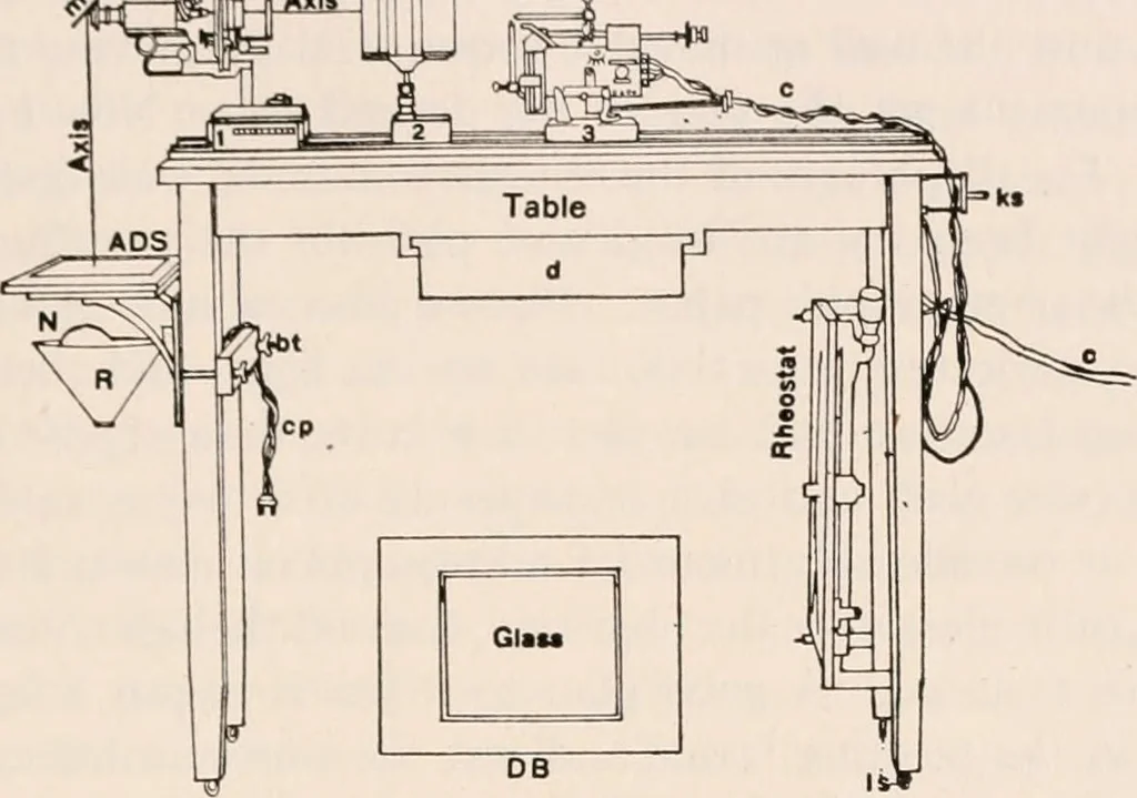 An illustration from The microscope; an introduction to microscopic methods and to histology, 1917, leaf 192