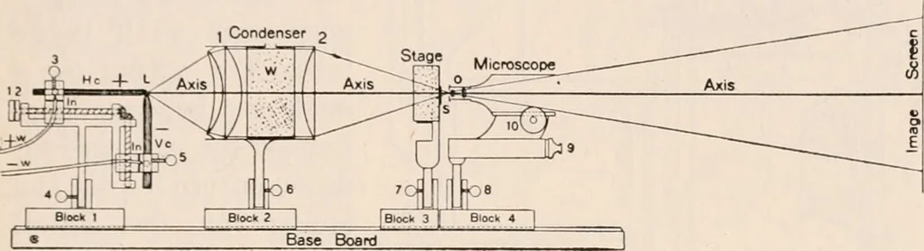 An illustration from The microscope; an introduction to microscopic methods and to histology, 1917, leaf 198