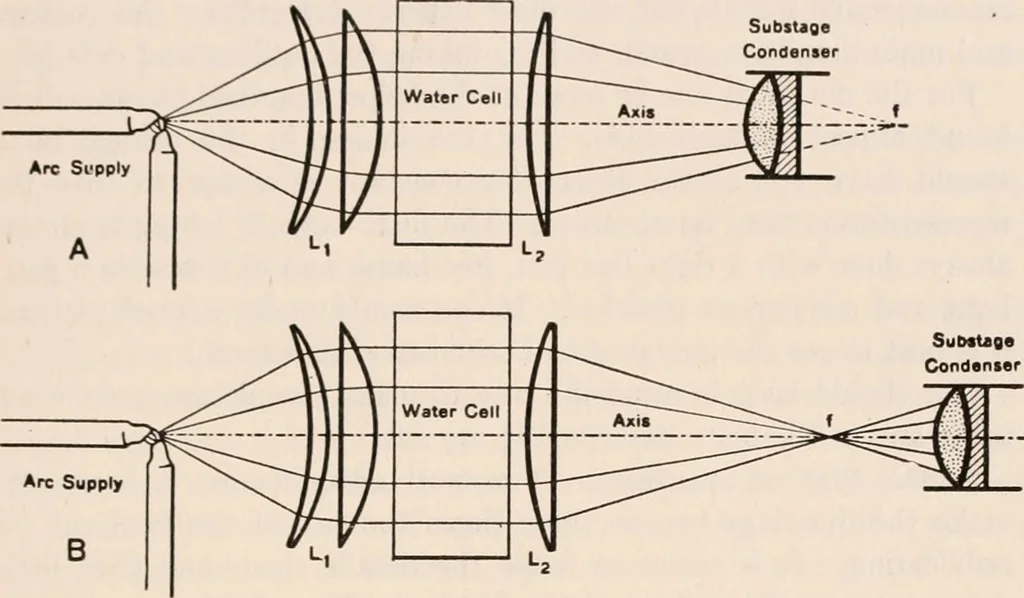 An illustration from The microscope; an introduction to microscopic methods and to histology, 1917, leaf 202