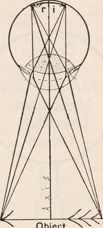 An illustration from The microscope; an introduction to microscopic methods and to histology, 1917, leaf 21