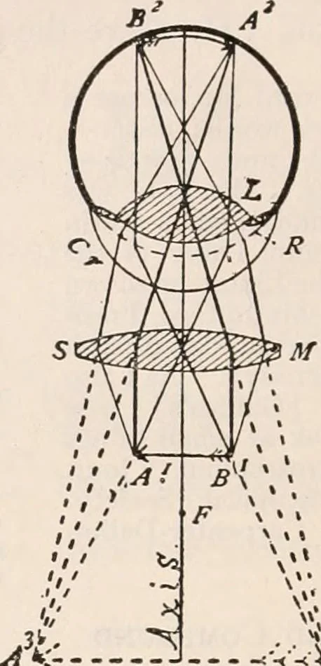 An illustration from The microscope; an introduction to microscopic methods and to histology, 1917, leaf 21