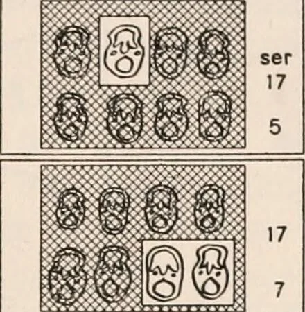 An illustration from The microscope; an introduction to microscopic methods and to histology, 1917, leaf 212