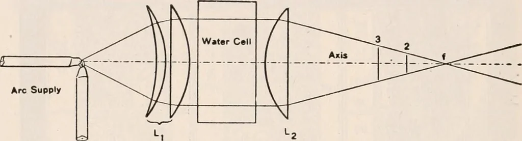 An illustration from The microscope; an introduction to microscopic methods and to histology, 1917, leaf 213