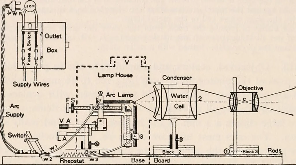 An illustration from The microscope; an introduction to microscopic methods and to histology, 1917, leaf 215