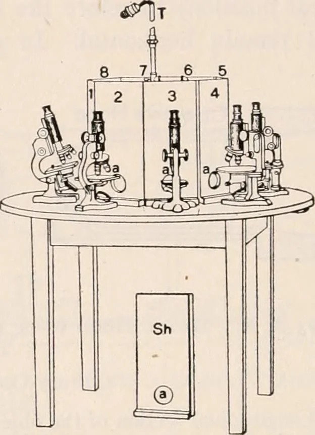 An illustration from The microscope; an introduction to microscopic methods and to histology, 1917, leaf 217