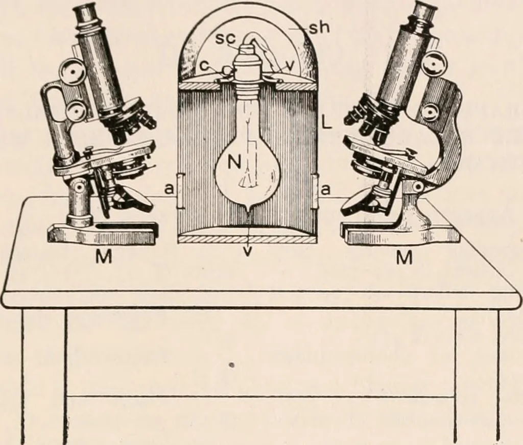 An illustration from The microscope; an introduction to microscopic methods and to histology, 1917, leaf 218