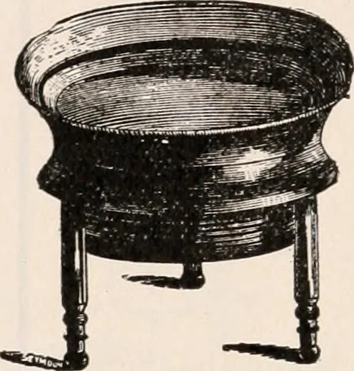 An illustration from The microscope; an introduction to microscopic methods and to histology, 1917, leaf 225