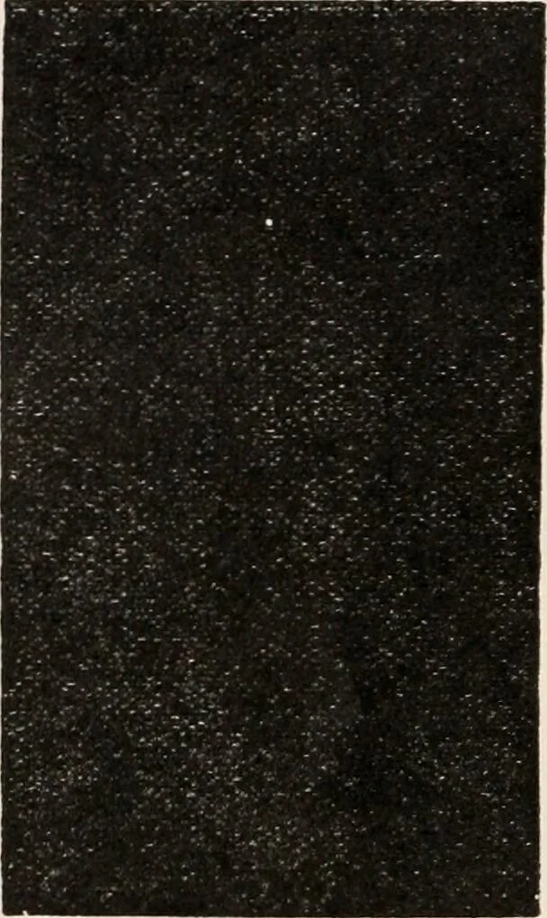 An illustration from The microscope; an introduction to microscopic methods and to histology, 1917, leaf 23