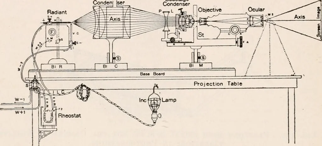 An illustration from The microscope; an introduction to microscopic methods and to histology, 1917, leaf 233