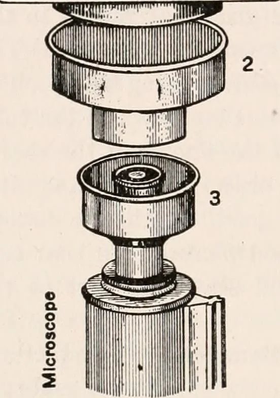 An illustration from The microscope; an introduction to microscopic methods and to histology, 1917, leaf 239