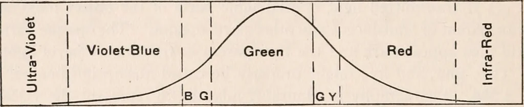 An illustration from The microscope; an introduction to microscopic methods and to histology, 1917, leaf 249