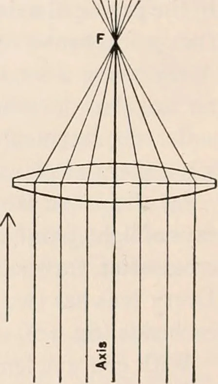 An illustration from The microscope; an introduction to microscopic methods and to histology, 1917, leaf 25
