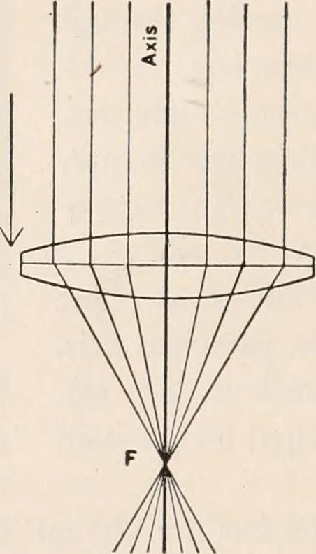 An illustration from The microscope; an introduction to microscopic methods and to histology, 1917, leaf 25