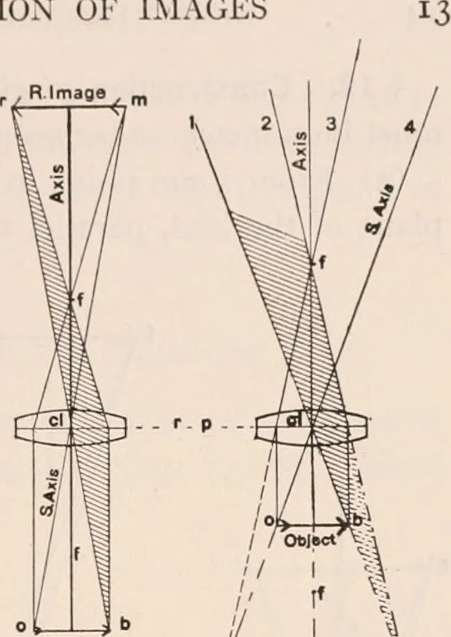 An illustration from The microscope; an introduction to microscopic methods and to histology, 1917, leaf 26