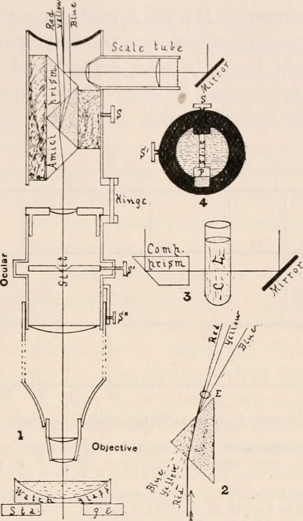 An illustration from The microscope; an introduction to microscopic methods and to histology, 1917, leaf 262