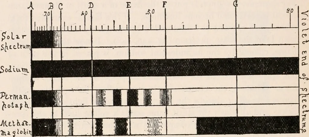 An illustration from The microscope; an introduction to microscopic methods and to histology, 1917, leaf 265