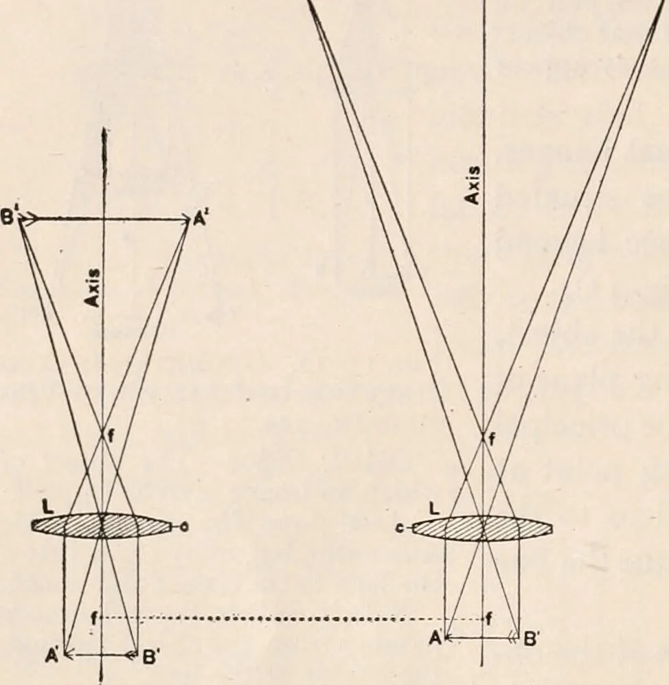 An illustration from The microscope; an introduction to microscopic methods and to histology, 1917, leaf 27