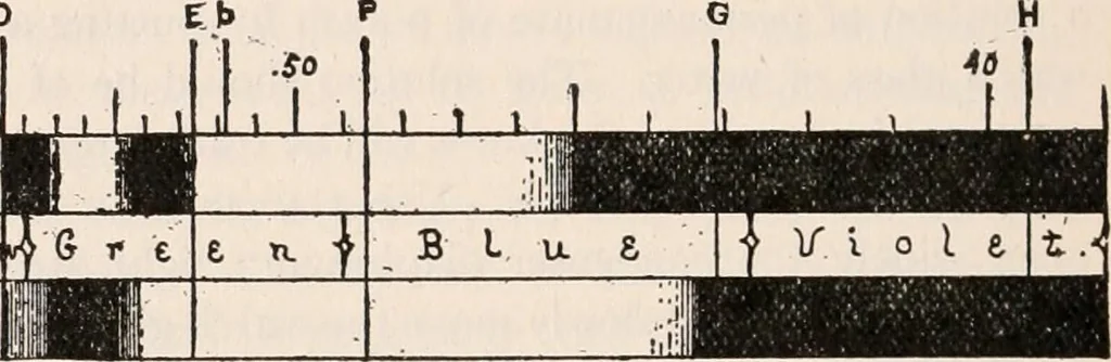 An illustration from The microscope; an introduction to microscopic methods and to histology, 1917, leaf 273