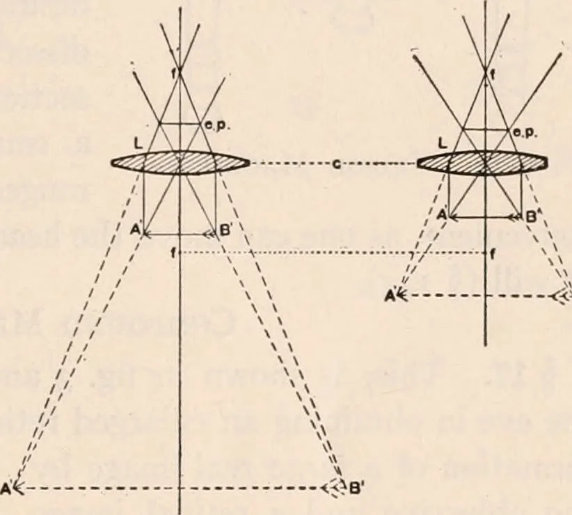 An illustration from The microscope; an introduction to microscopic methods and to histology, 1917, leaf 28