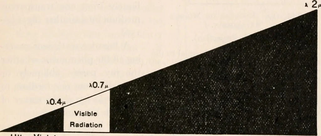 An illustration from The microscope; an introduction to microscopic methods and to histology, 1917, leaf 284