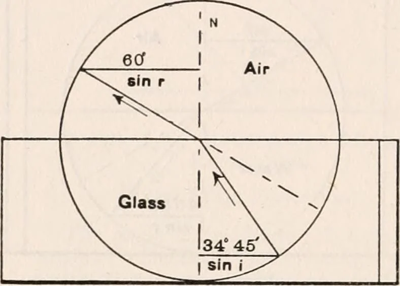 An illustration from The microscope; an introduction to microscopic methods and to histology, 1917, leaf 287