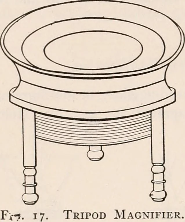 An illustration from The microscope; an introduction to microscopic methods and to histology, 1917, leaf 29