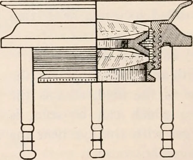 An illustration from The microscope; an introduction to microscopic methods and to histology, 1917, leaf 29