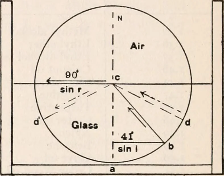 An illustration from The microscope; an introduction to microscopic methods and to histology, 1917, leaf 291